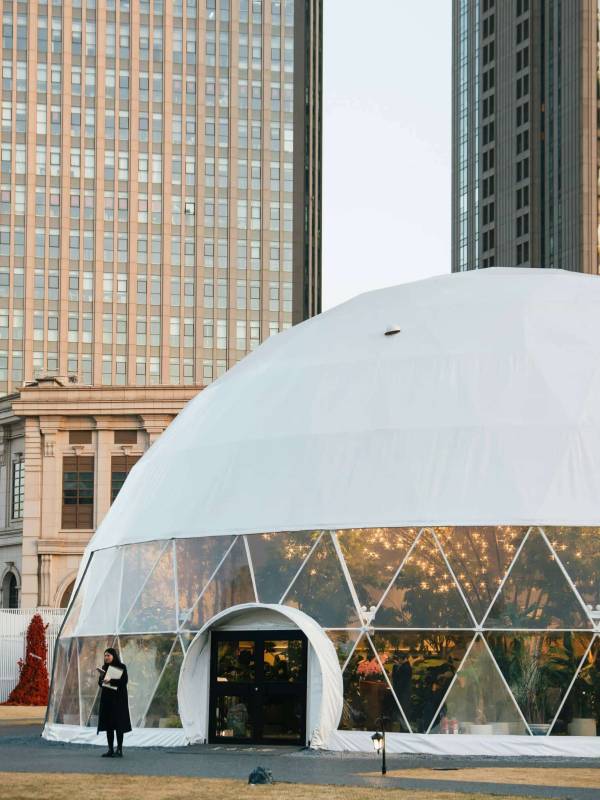 Business Domes