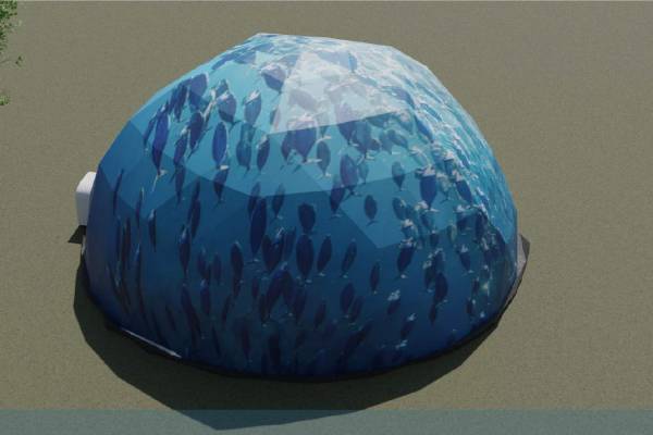 Ocean printed domes
