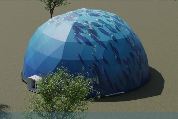 Ocean printed domes